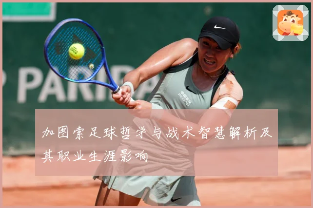 加图索足球哲学与战术智慧解析及其职业生涯影响