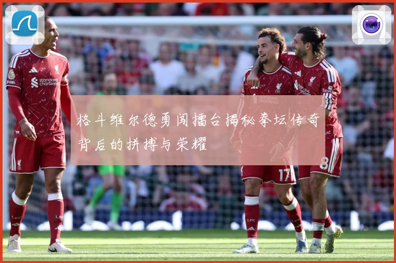 格斗维尔德勇闯擂台揭秘拳坛传奇背后的拼搏与荣耀